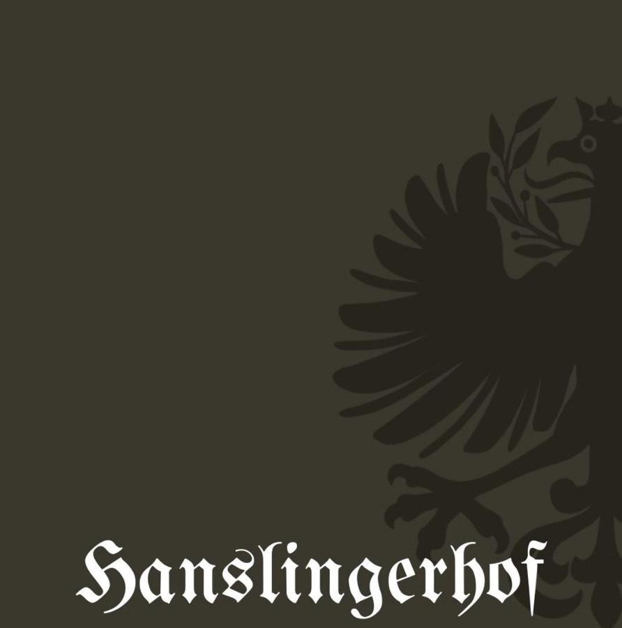 Bauernhof Hanslingerhof 沃格尔 外观 照片